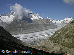 Foto: Aletschhorn, Dreieckhorn, Aletschgletscher