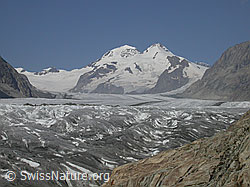 F000106: Aletschgletscher, Konkordiaplatz, Mönch und Trugberg