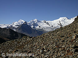 F000238: Strahlhorn, Egginer, Allalinhorn, Feekopf, Alphubel