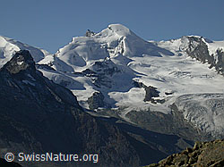 Photo: Jegihorn: Allalinhorn