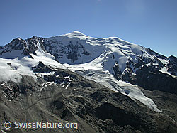 Foto: Jegihorn: Weissmies und Triftgletscher