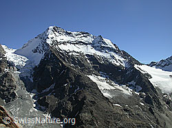 F000273: Jegihorn: Lagginhorn