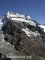 F000296: Jegihorn: Lagginhorn