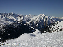 F002246: Gandhorn: Aussicht über das Binntal
