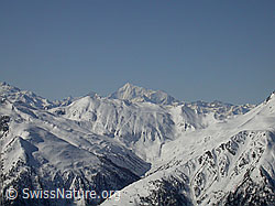 F002250: Gandhorn: Saflischtal und Weisshorn