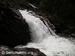 F002635: Tosender Wasserfall im Mässerbach während Schneeschmelze