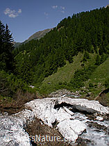 F003164: Morsche Schneebrücke über den Mischibach
