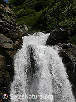 F004141: Binntal: Erfischendes Wasser eines Wasserfalls