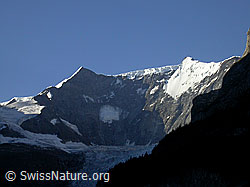 F005130: Grindelwald: Ochs und Gross Fiescherhorn