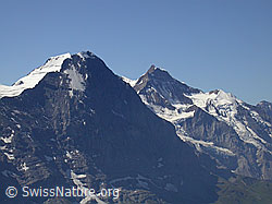 F005184: Schwarzhorn: Mönch, Eiger, Jungfrau