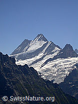 F005232: Lauteraarhorn, Schreckhorn , Klein Schreckhorn