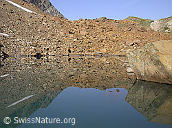 F005511: Bräunliche Gerölllandschaft spiegelt sich in Bergsee