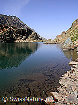 F005527: Züesee mit schwacher Spiegelung