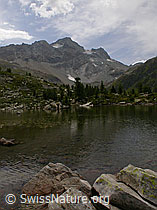 F005616: Mässersee mit Schwarzhorn