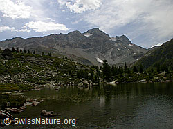 F005617: Mässersee und Schwarzhorn