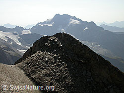 F005740: Turpechepf: Ofenhorn