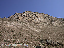 F005768: Turbechepf