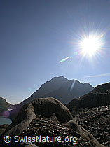 Photo: Gletscherschliff und Grieshorn im Gegenlicht