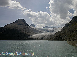 F006017: Griessee, Bättelmatthorn, Rothorn, Blinnenhorn und Griesgletscher