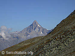 F006174: Nanzlicke: Bietschhorn