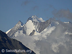 F006177: Täschhorn, Lenzspitz, Dom, Nadelhorn, Stecknadelhorn