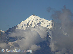 F006196: Spitzhorli: Weisshorn und Brunegghorn