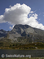 F006270: Simplonpass: Hopschusee und Hübschhorn