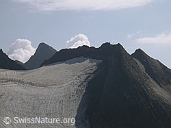 F006324: Fäldbachgletscher, Turbhorn, Turbechepf