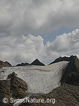 F006344: Fäldbachgletscher und Turbechepf