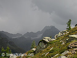 F006373: Gewitter