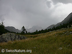 F006376: Gewitter in der Ofenhornregion