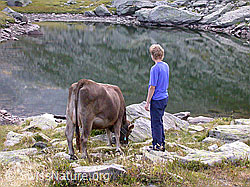 F006417: Tier und Mensch an Bergsee