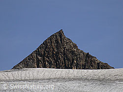 F006483: 5. Turbechepf und Fäldbachgletscher