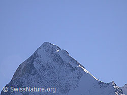 F006628: Mürren: Westflanke und Gipfelaufbau des Eiger