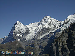 Foto: Eiger, Mönch, Gletscherzunge Guggigletscher