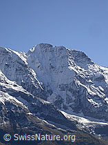 F006729: Grosshorn