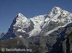 Foto: Eiger, Mönch, Eigergletscher, Nollen, Guggigletscher