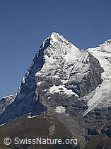 Foto: Eiger, Berner Oberland