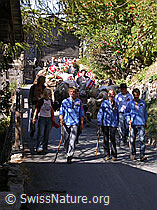 F006946: Alpabfahrt im Binntal