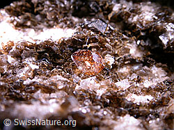 F007058: Anatas