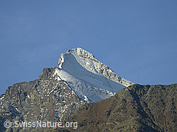 F007081: Brunegghorn