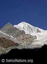 F007095: Weisshorn und Bisgletscher