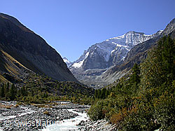 F007110: Glacier de Zinal, Grand Cornier und Bachbett
