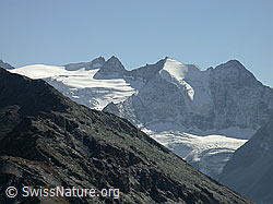F007147: Pointe de Bricola, Pointes de Mourti und Pointe de l