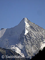 F007205: Obergalbelhorn