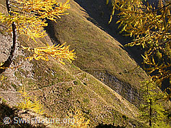 Photo: Sännewäg
