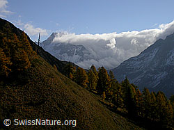 F008152: Föhnwalze über Albrunpass und Ofenhorn