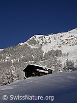 F008825: Hütte in tief verschneiter Winterlandschaft
