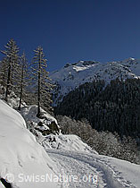 F009191: Fussspuren auf verschneitem Wanderweg