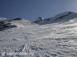 F009828: Hotäl, Binntal, mit Skispur